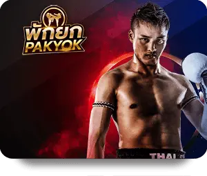 wtm-spinix cover image webp